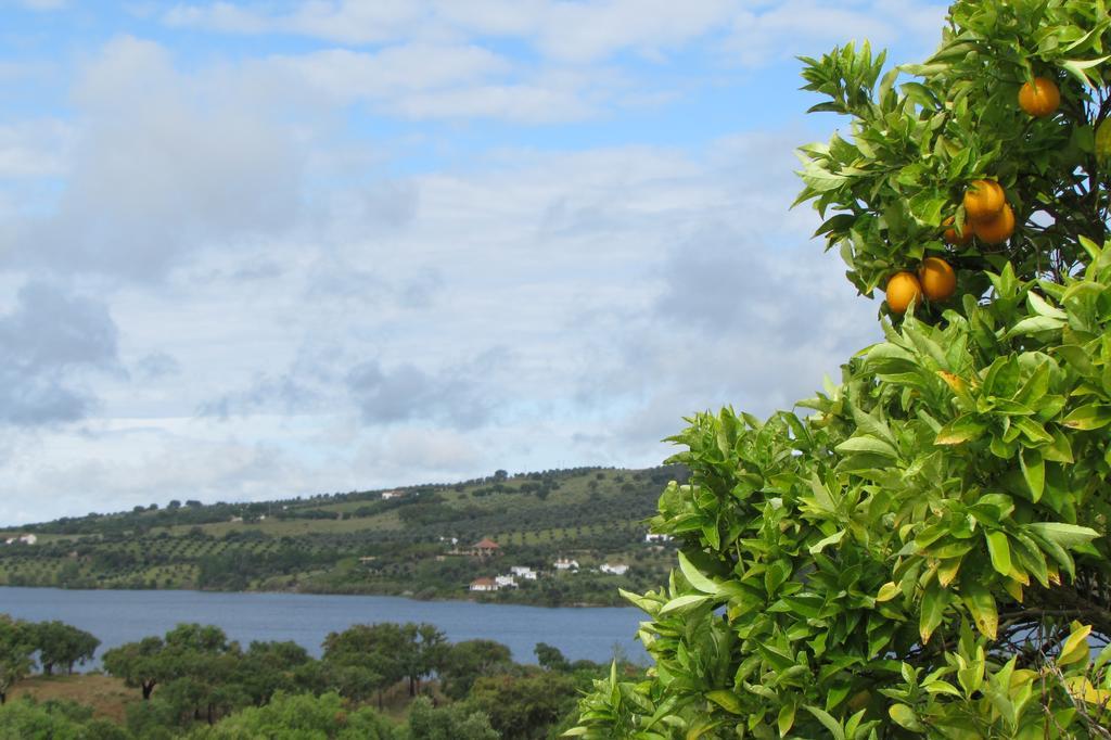 Monte Da Tojeirinha Guest House Montargil Bagian luar foto