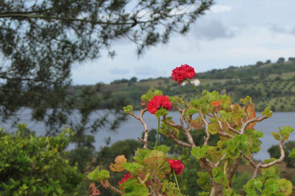 Monte Da Tojeirinha Guest House Montargil Bagian luar foto