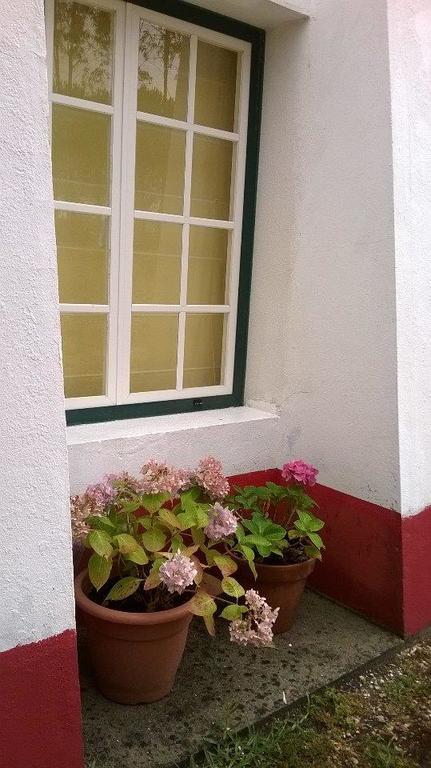 Monte Da Tojeirinha Guest House Montargil Bagian luar foto